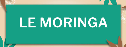 Conseils Santé moringa