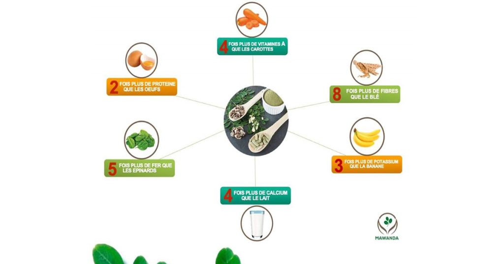 Les Vertus du Moringa : Un Trésor Naturel pour la Santé et le Bien-être