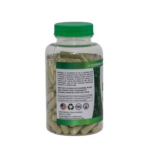 moringa-42